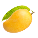 OFFICIAL MANGO COMMUNITY
