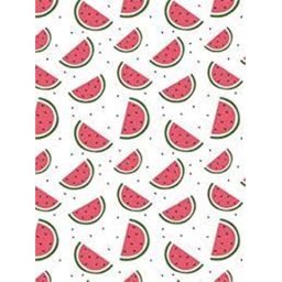 Melon Vibes Obby
