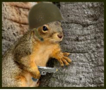 the squirrel giving robux army