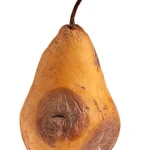 Expired Pear Group Thumbnail