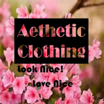 Aesthetic's Clothing
