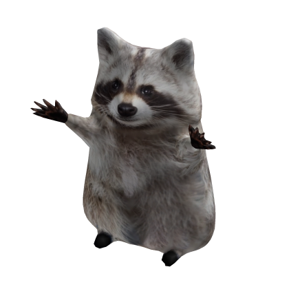 Dancing Raccoon Costume