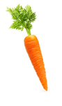 The Carrot Crew.