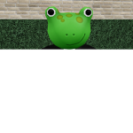 the froggy's group
