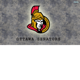 Canadian Tire Center