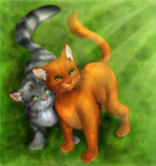 Warrior Cats Rule!