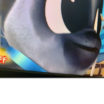 I’m a big fan of fishy on me