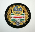 |-|Chechen Armed Forces|-|