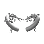 Chained White Horns