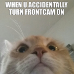 sanic meme games