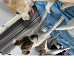 Daisy Mae’s group <3