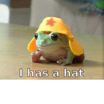 the frog gang of robloxia