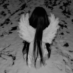 angelams