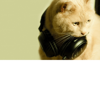 pets simulator x (map)(: