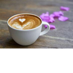 Cafe Sun