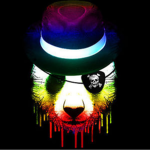 Panda Writers✎
