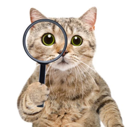 Curious Cat! Roblox group icon