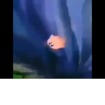 Tower of Cliff-side Madness