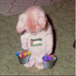 بابا علي
