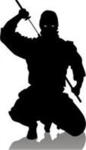 the  dark super ninjas