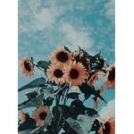 Awh_Vibez