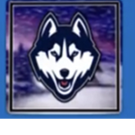 queen wolfy group