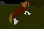 the ###### horses