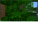 the minecraft mod