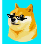 Dogss are the best!!!