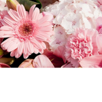 #### ##### to my frends