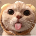 luhvpttx