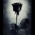 BlackRosesGames