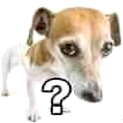 Question mark dog Roblox decal