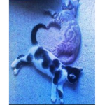Muddy Puddles <3