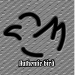 Authentic Bird