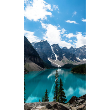 Survive the Artic Place || Sharks || V.I.P Room