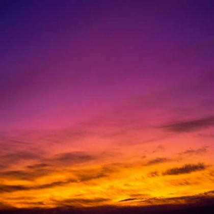 TCF 2020 Skybox