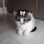 ‘siko