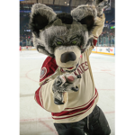 [S5] MPGHL Chicago Wolves