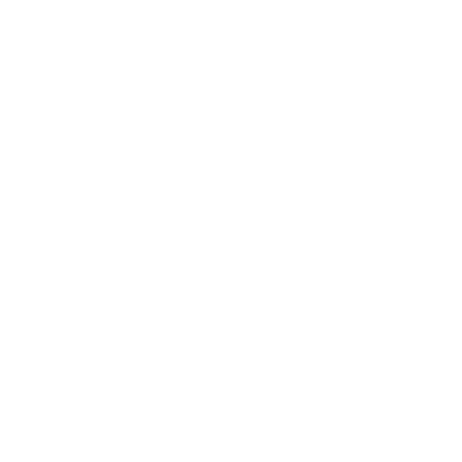 PL - Premium Icon Roblox decal