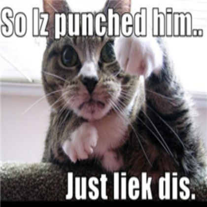 Funny cat pic. Roblox decal
