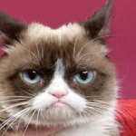Grumpy's group