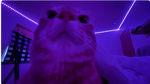 iyvu