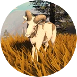 Gamepass Thumbnail