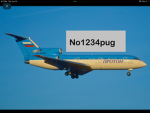 No1234pug