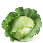 The cabbage group