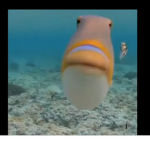 I spy pooldude1332