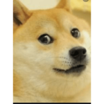 Super doge meme group