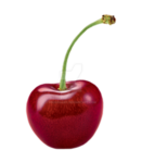 Cherry Gang rp