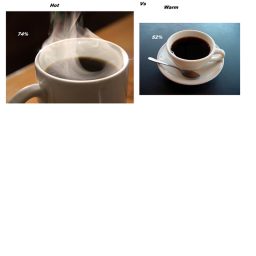 Coffee Madness